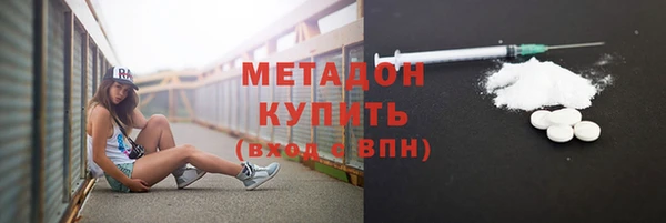 прущие грибы Абаза