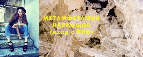 прущие грибы Абаза