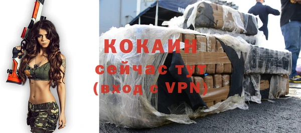 прущие грибы Абаза