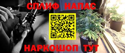 ГАЛЛЮЦИНОГЕННЫЕ ГРИБЫ Северобайкальск