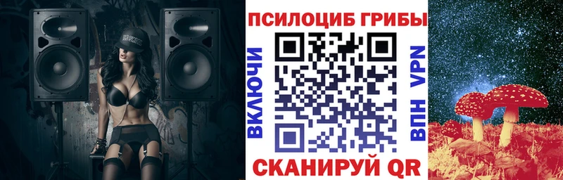 Псилоцибиновые грибы GOLDEN TEACHER  где купить наркоту  MEGA ONION  Холмск 