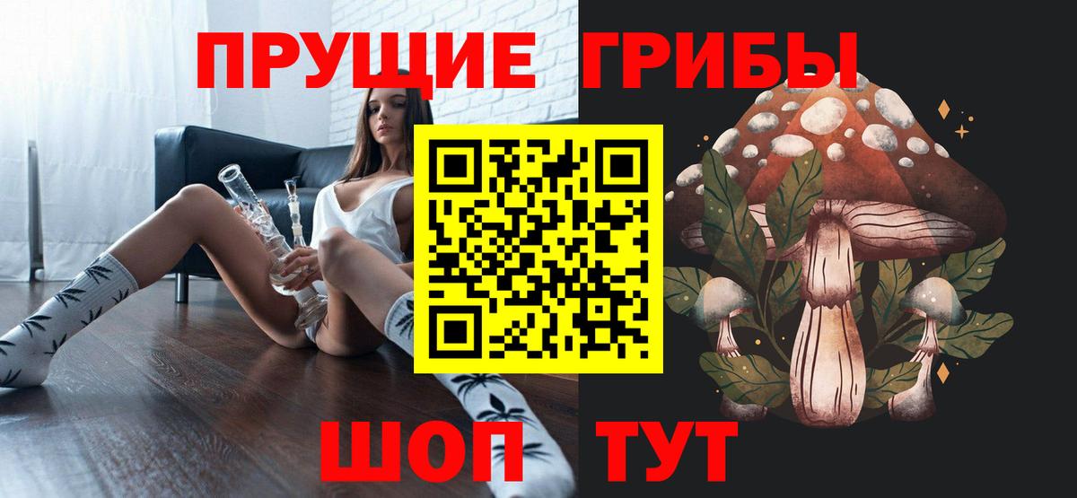 Холмск  Псилоцибиновые грибы Cubensis  Вход с VPN 